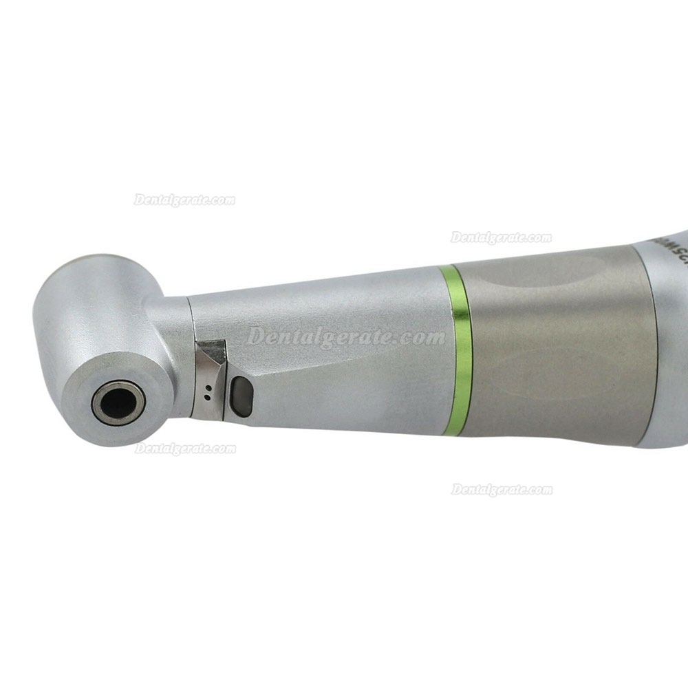 BEING Rose202CAR4B Dental 4:1 Faseroptik Winkelst&uuml;ck Handst&uuml;ck KaVo Intramatic kompatibel